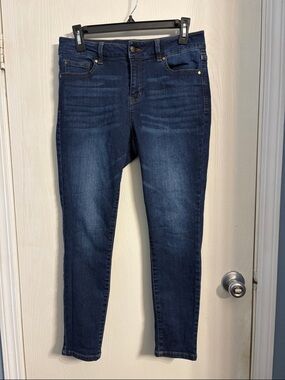 d. jeans Indigo Stretch Skinny Jeans